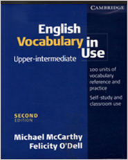 English Vocabulary in Use (Upper Intermediate)